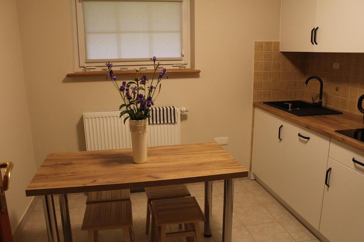 זקופאנה Apartamenty Nad Potokiem מראה חיצוני תמונה